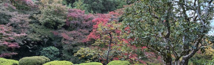 2024年度埼玉県支部総会報告